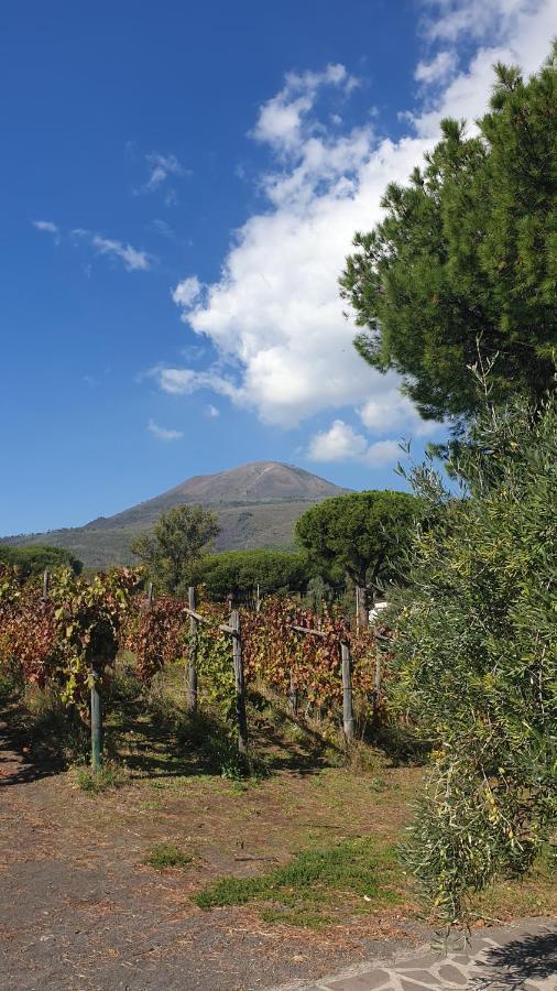 Beb Casale Pompei Rendine Villa Boscotrecase Bagian luar foto