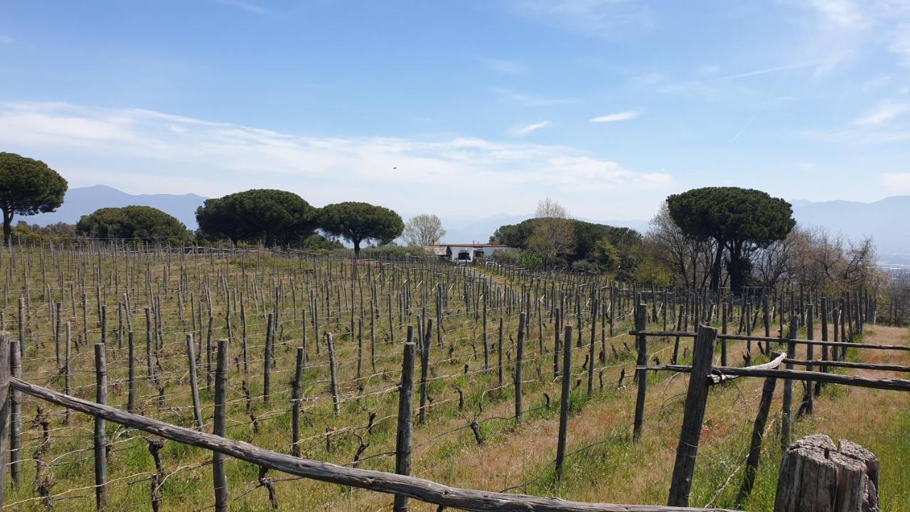 Beb Casale Pompei Rendine Villa Boscotrecase Bagian luar foto
