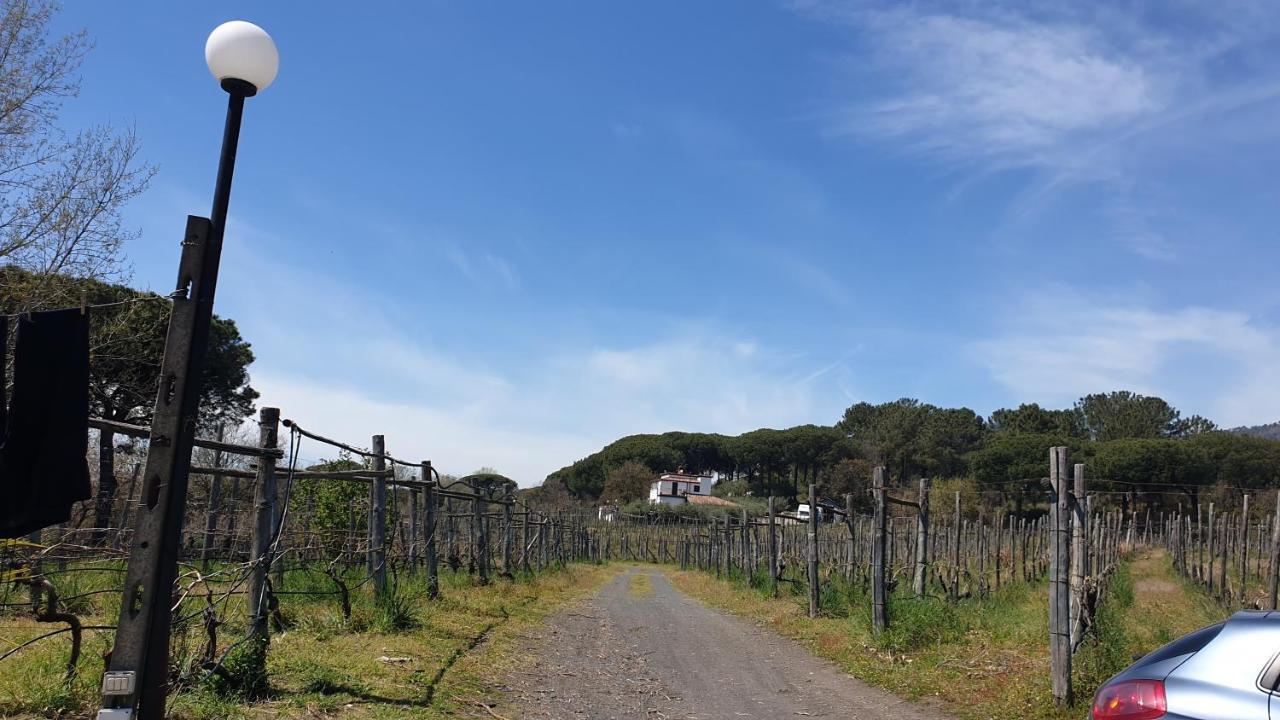 Beb Casale Pompei Rendine Villa Boscotrecase Bagian luar foto