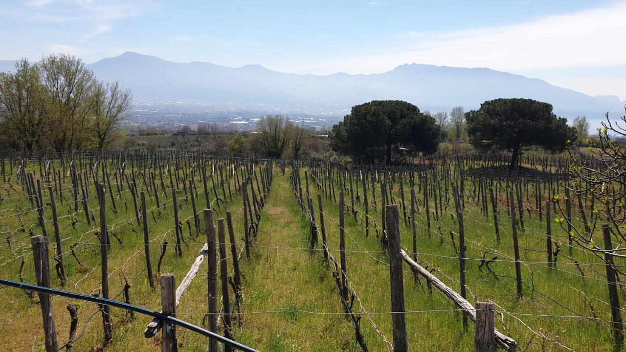 Beb Casale Pompei Rendine Villa Boscotrecase Bagian luar foto