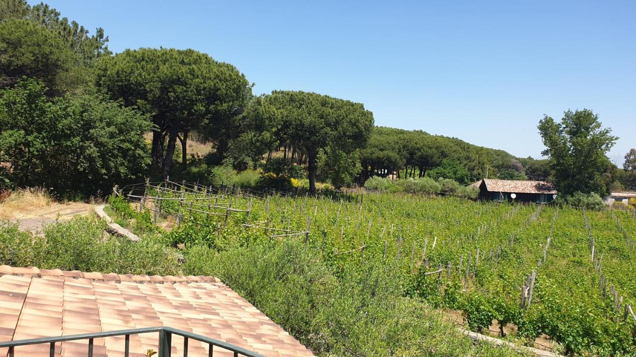 Beb Casale Pompei Rendine Villa Boscotrecase Bagian luar foto