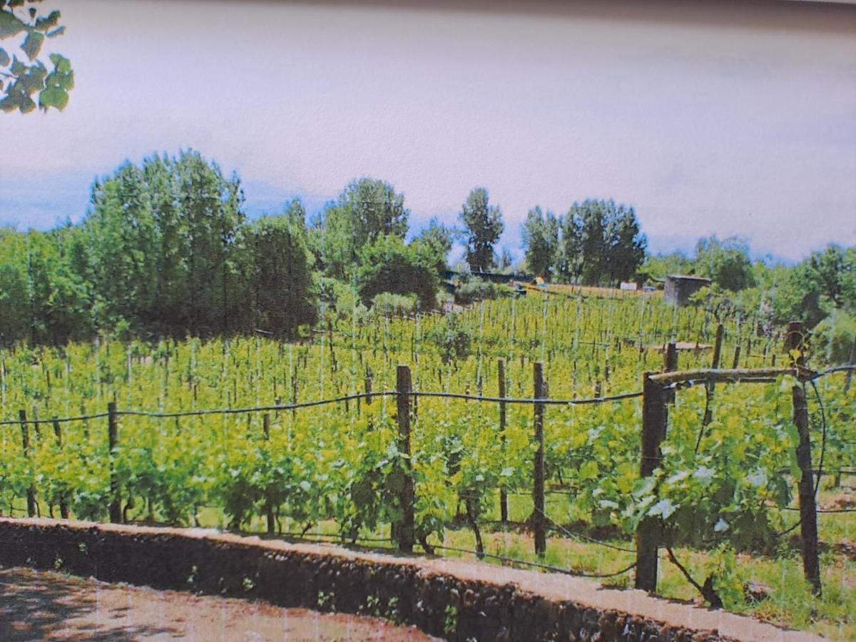 Beb Casale Pompei Rendine Villa Boscotrecase Bagian luar foto