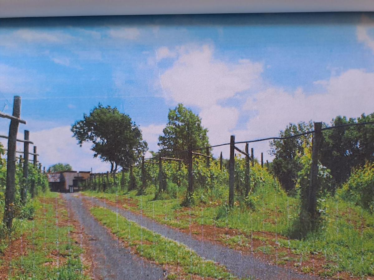 Beb Casale Pompei Rendine Villa Boscotrecase Bagian luar foto