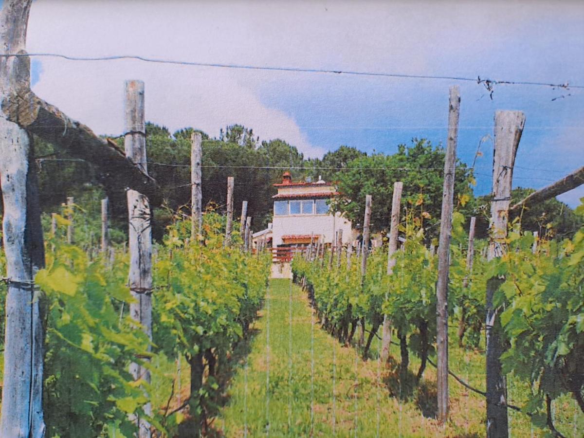 Beb Casale Pompei Rendine Villa Boscotrecase Bagian luar foto